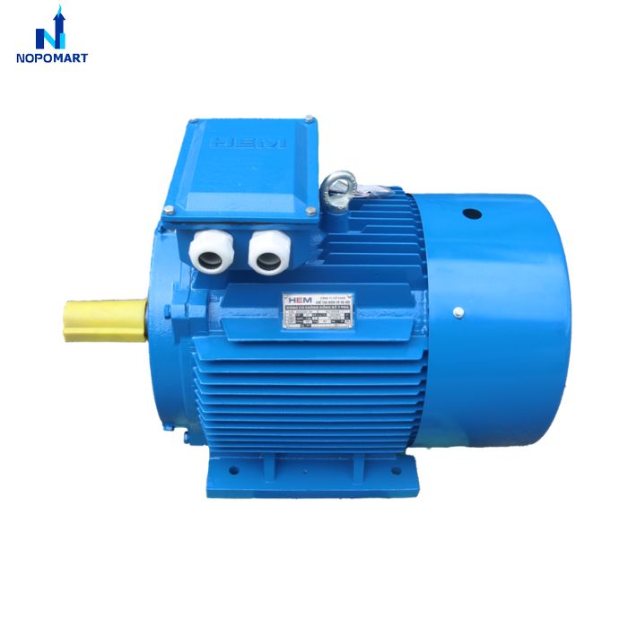 dong-co-dien-3-pha-160kw