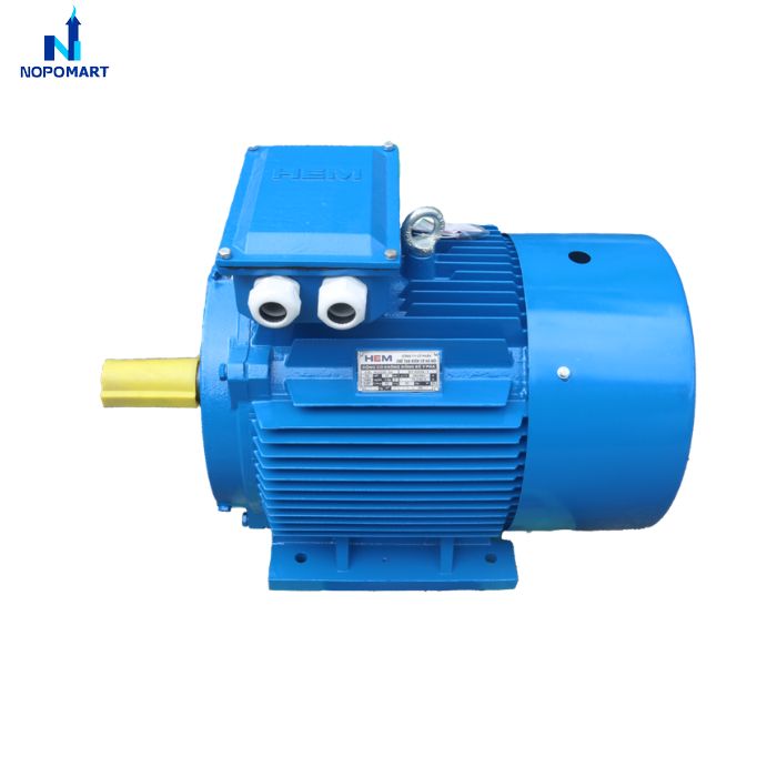 dong-co-dien-3-pha-200kw_2