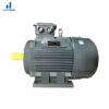 dong-co-dien-3-pha-200kw_4