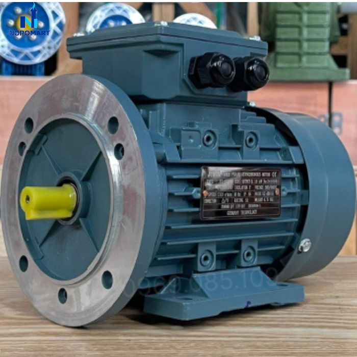 dong-co-dien-3-pha-55kw_3