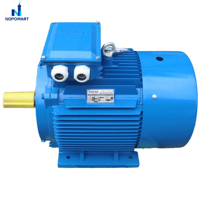 dong-co-dien-3-pha-55kw_4