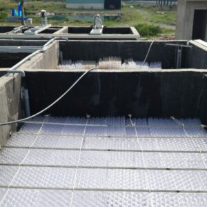 đệm vi sinh dạng tấm